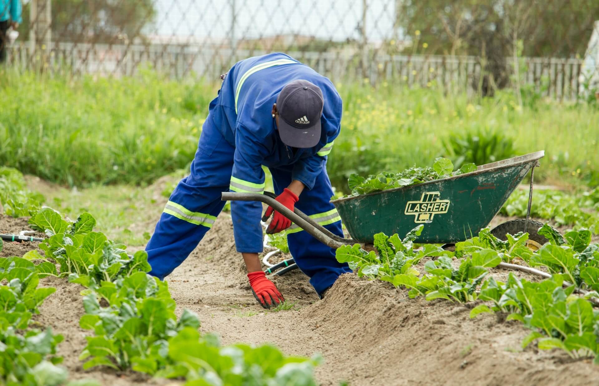 NGO Jobs in Zimbabwe Where to Find Them & How Much Do They Pay